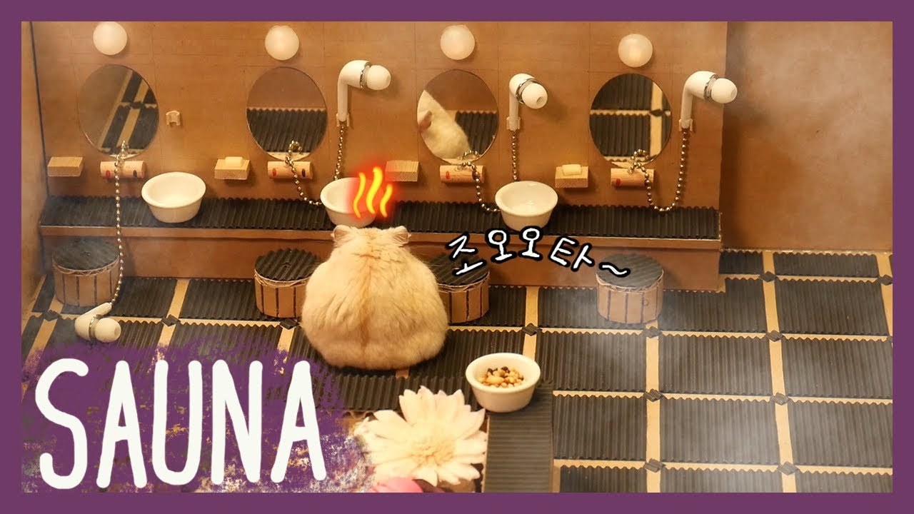 목욕탕에 간 햄스터 (hamster sauna)