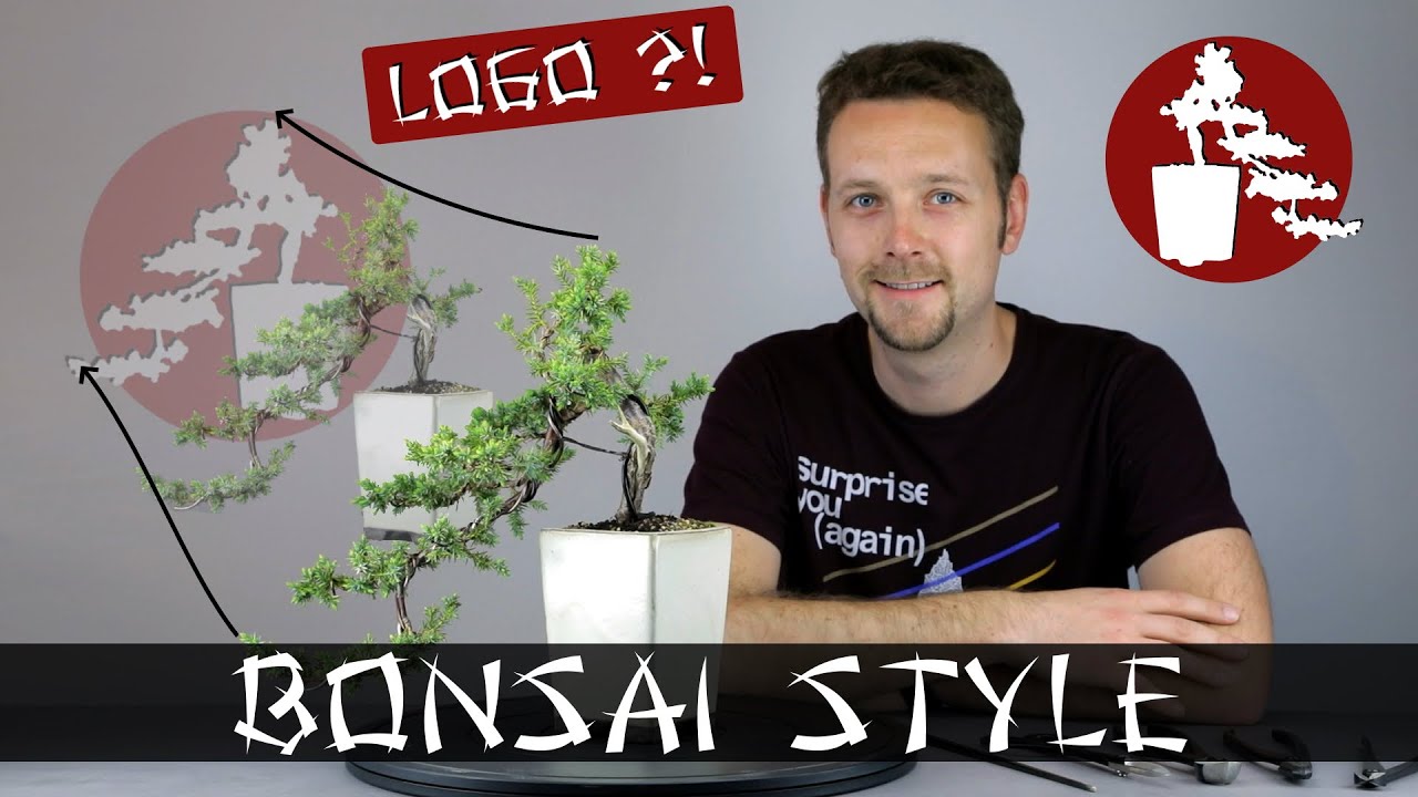 Der Bonsai hinter dem Logo | Gemeiner Wacholder (Juniperus) | #020 Bonsai Style