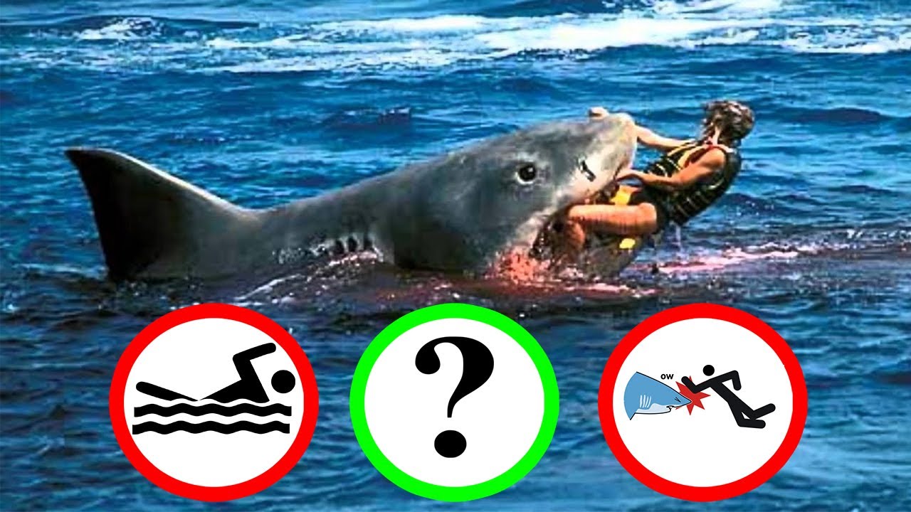 A T&Uacute;L&Eacute;LŐ TESZT ✔ Te Mit Tenn&eacute;l Ezekben a VESZ&Eacute;LYES Helyzetekben?