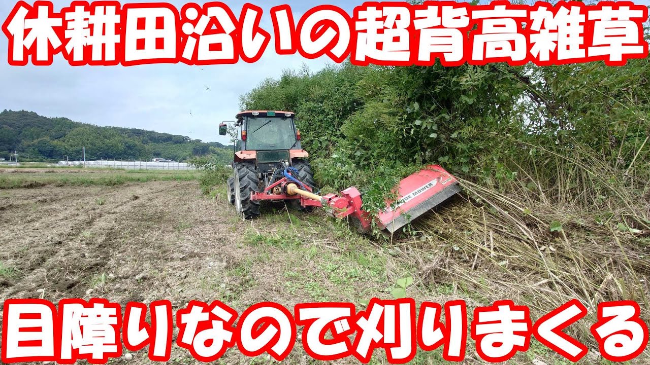 境界が曖昧な休耕田。あの雑草エリアも田んぼだと？