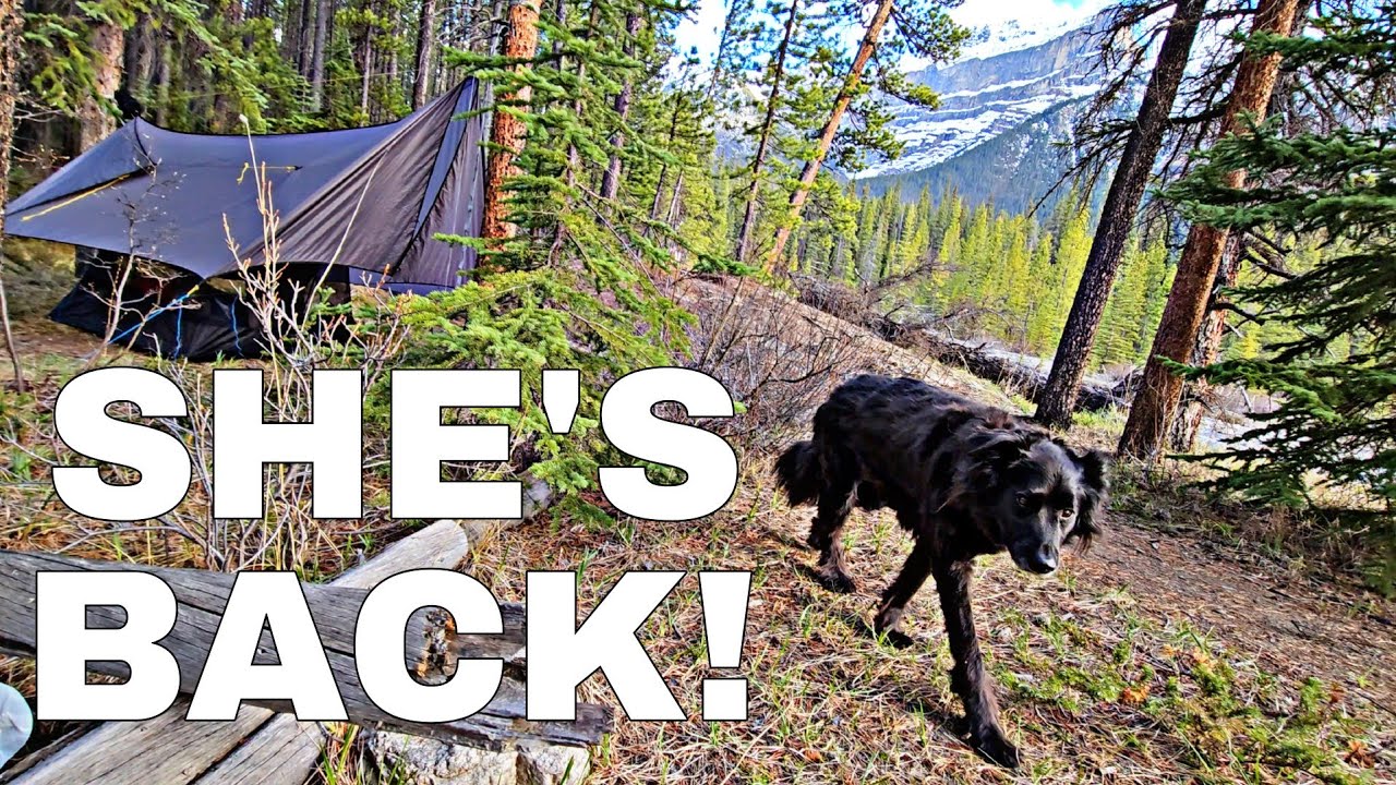 Backpacking With My Dog To A Frozen Alpine Lake In A Hammock