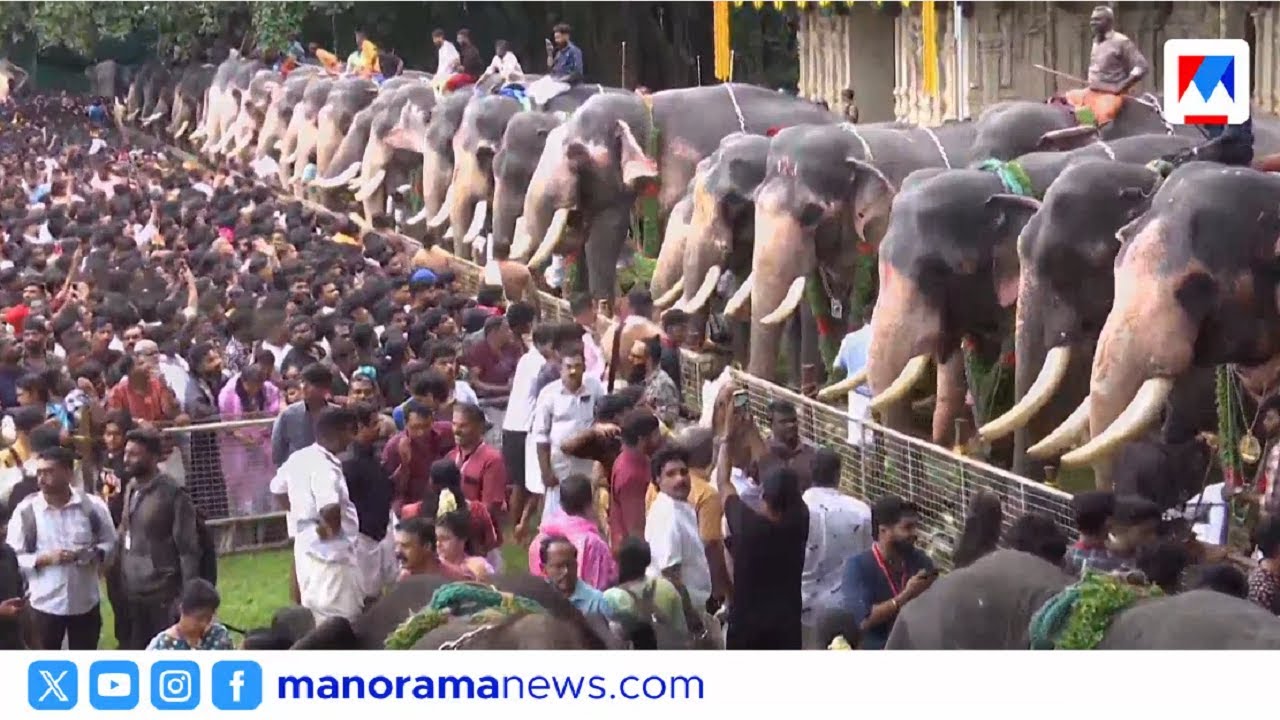 വടക്കുംനാഥ ക്ഷേത്രത്തില്‍ ഗജവീരന്‍മാര്‍ക്ക് ആനയൂട്ട് ​| Vadakkumnathan Temple Aanayoottu