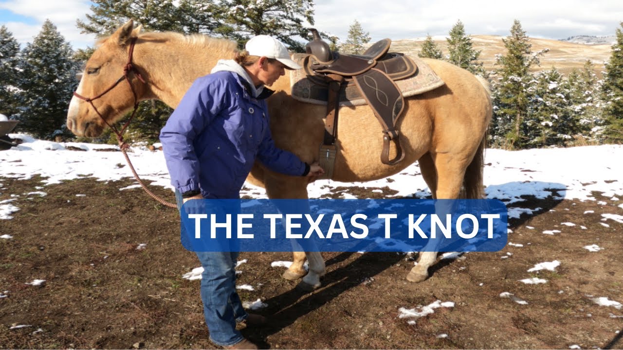 HOW TO TIE A LATIGO KNOT(WESTERN CINCH)