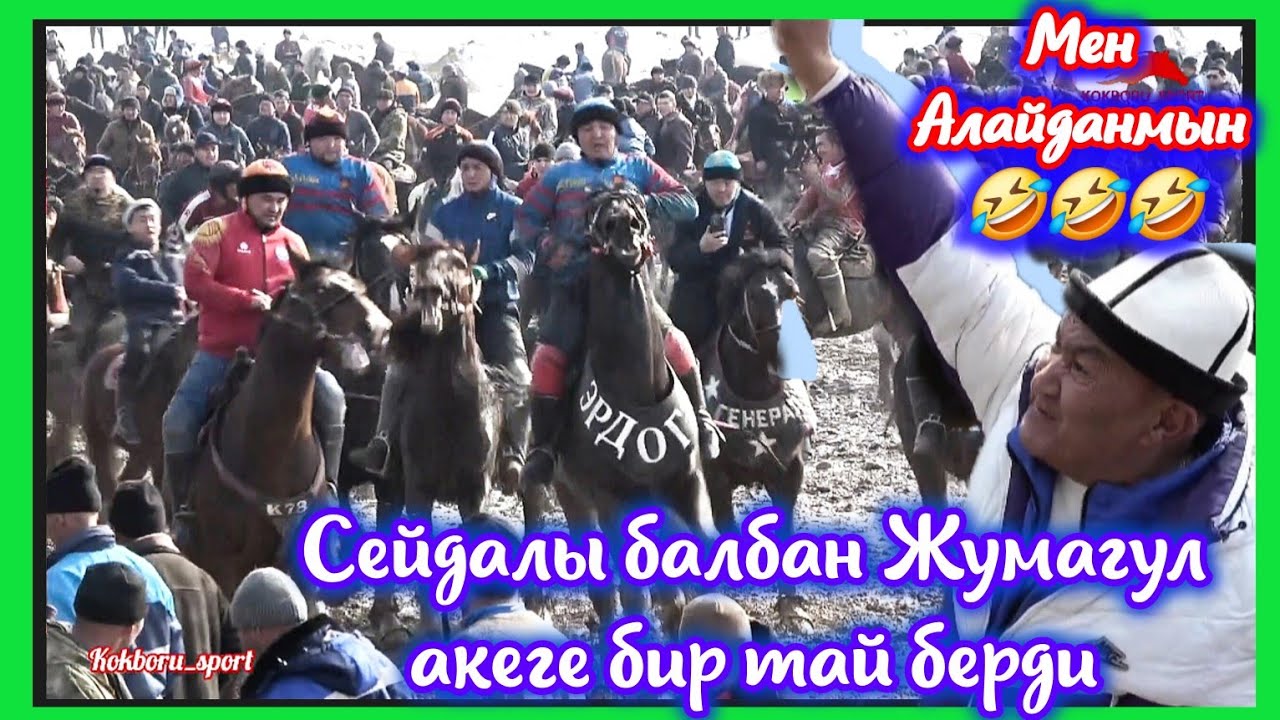 Эрдоган Ала Букадагы чоң улакт катуу жүрдү жаныбар 💥💥💥