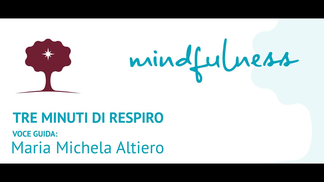 Mindfulness. Tre minuti di respiro. Mini-meditazione in 3 fasi per i momenti difficili (e non solo)