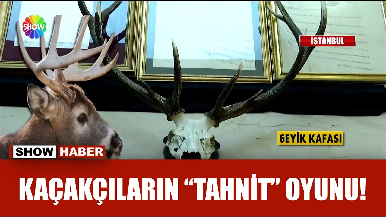 Tarihi eser ve Tahnit operasyonu