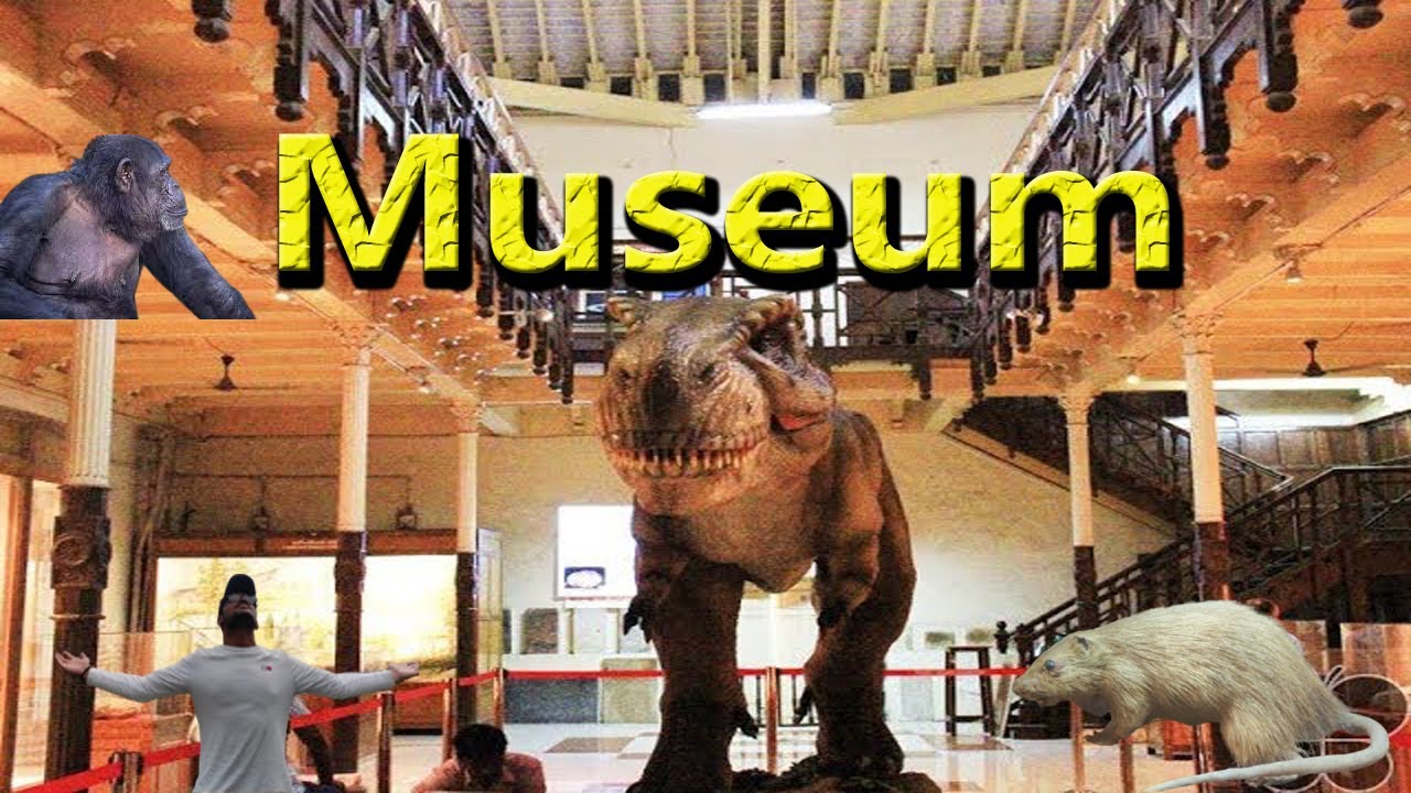 Chennai Egmore Museum | அரசு அருங்காட்சியகம் , எழும்பூர் , சென்னை | Chennai Government Museum