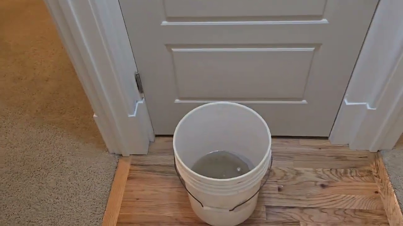 VLM carpet cleaning (2) 2bedroom apartments.