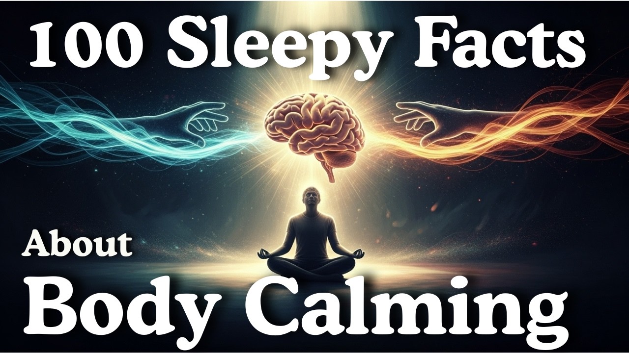 The Most Relaxing Facts About Your Body's Calm System to Fall Asleep To