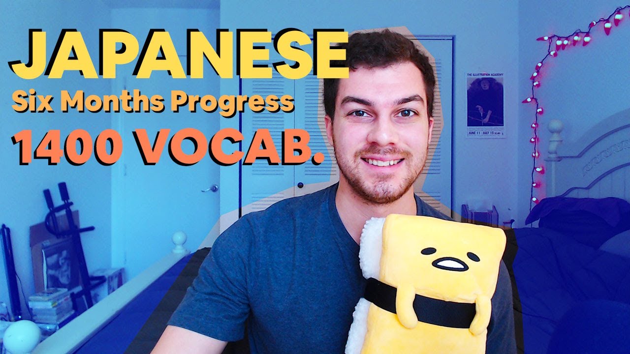 Learning Japanese - 6 Month Update - 1400 Vocabulary