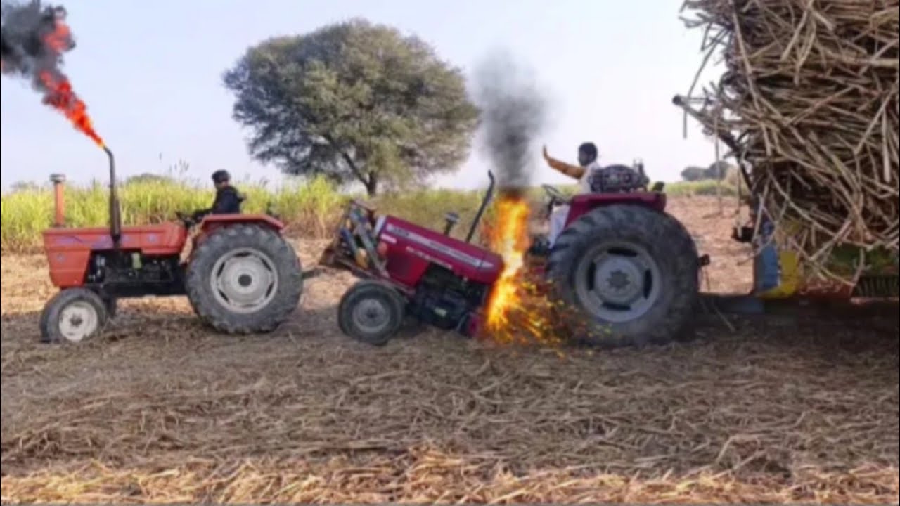 385 sugar load Pakistan Punjab