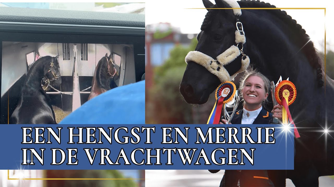 JOHNNY EN EVE SAMEN IN DE VRACHTWAGEN?! | PaardenpraatTV