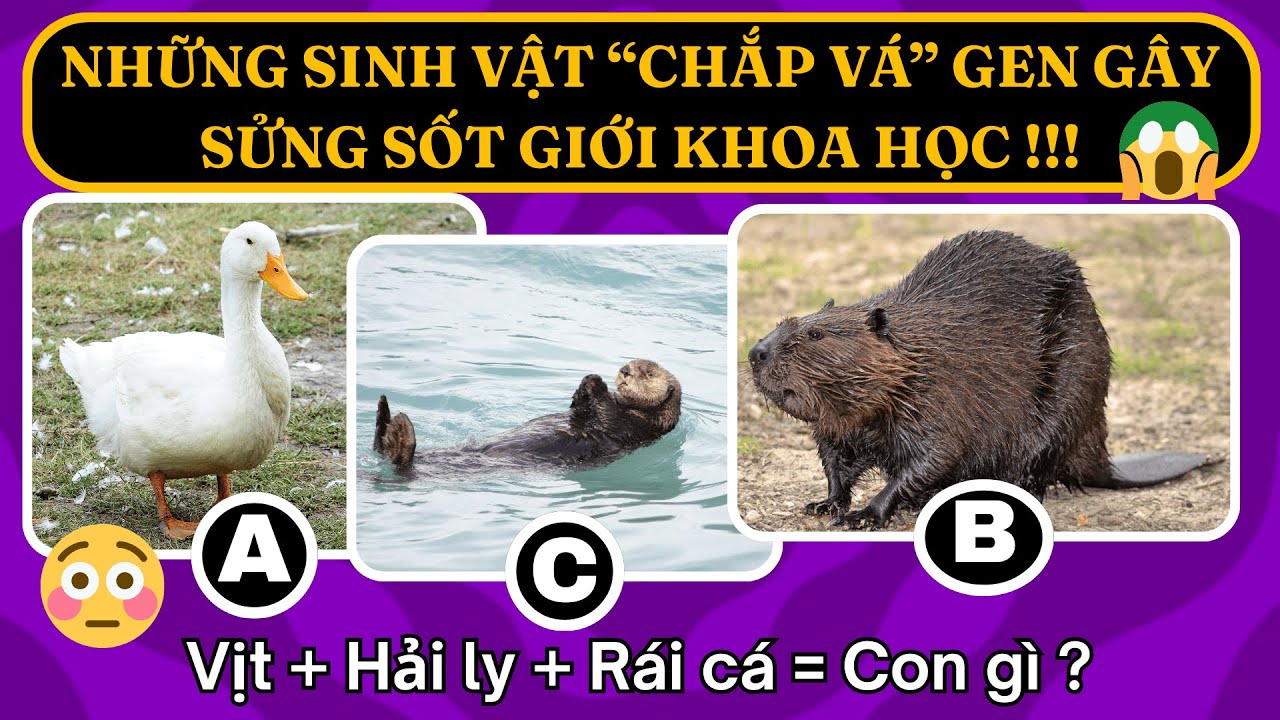NHỮNG SINH VẬT "CHẮP VÁ" GEN GÂY SỬNG SỐT GIỚI KHOA HỌC | THỬ THÁCH ĐỐ VUI 