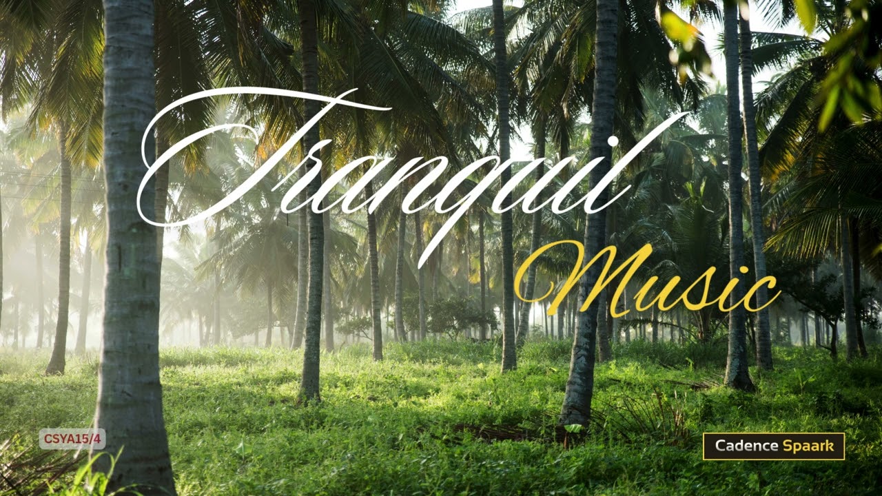 Tranquil Music!! 🎶 🎵 🎼 