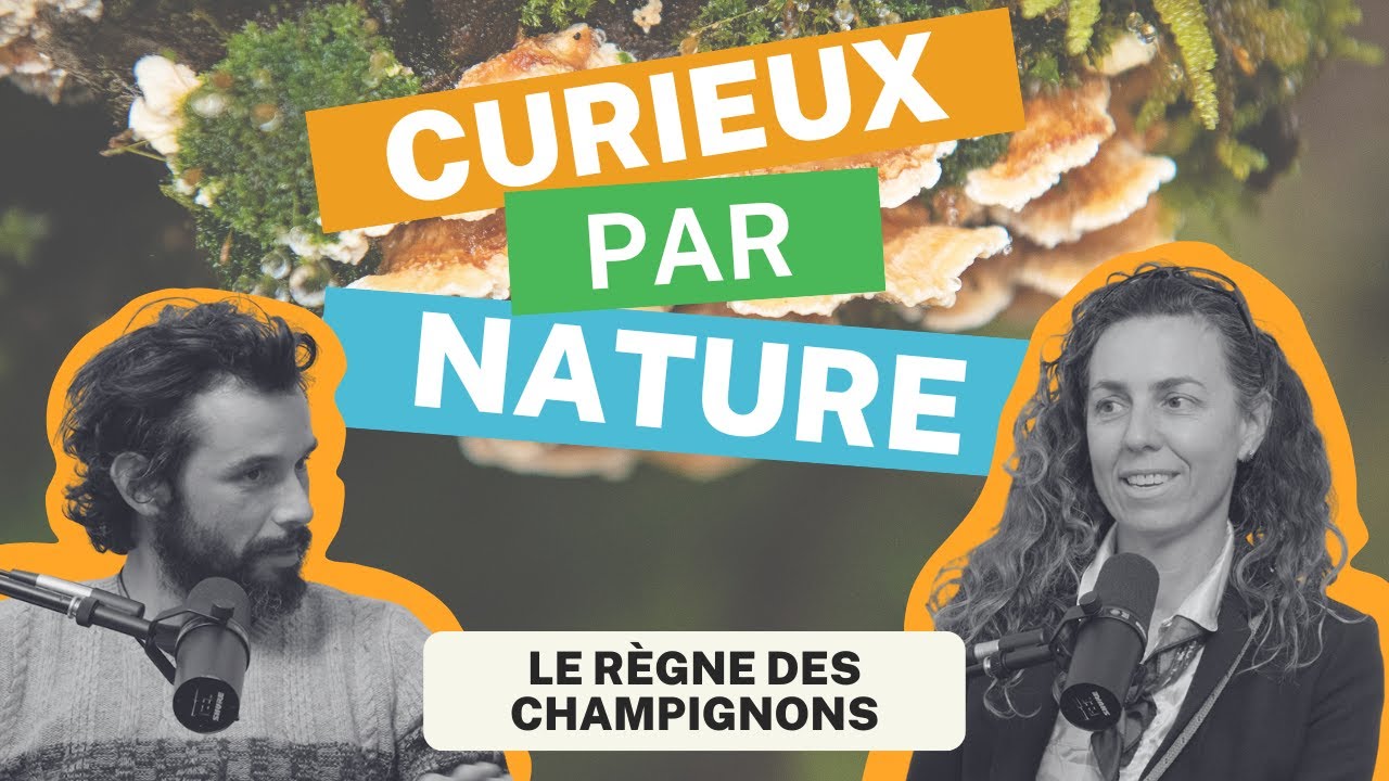 Curieux par Nature - Épisode 2: Le règne des champignons