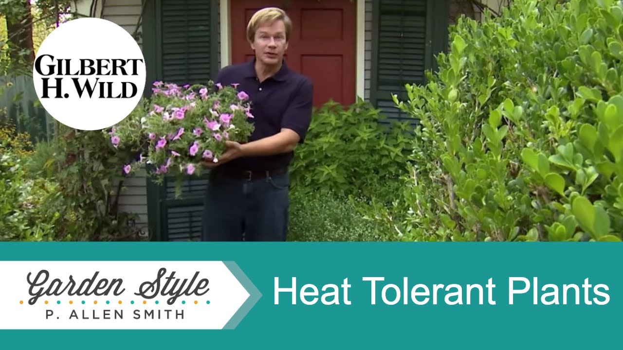 Heat Tolerant Plants | Garden Style (1220)