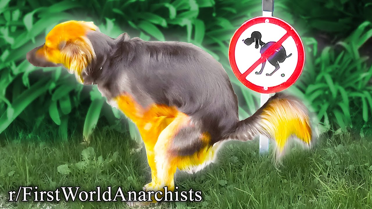 This is pure anarchy!!