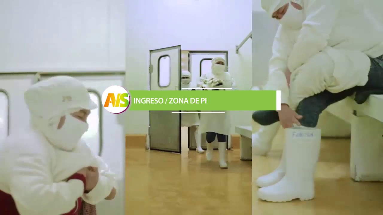 PROCESO DE PALTA CONGELADA- AGRÍCOLA VIDAS SALUDABLES SAC - MOTUPE - LAMBAYEQUE - PERÚ