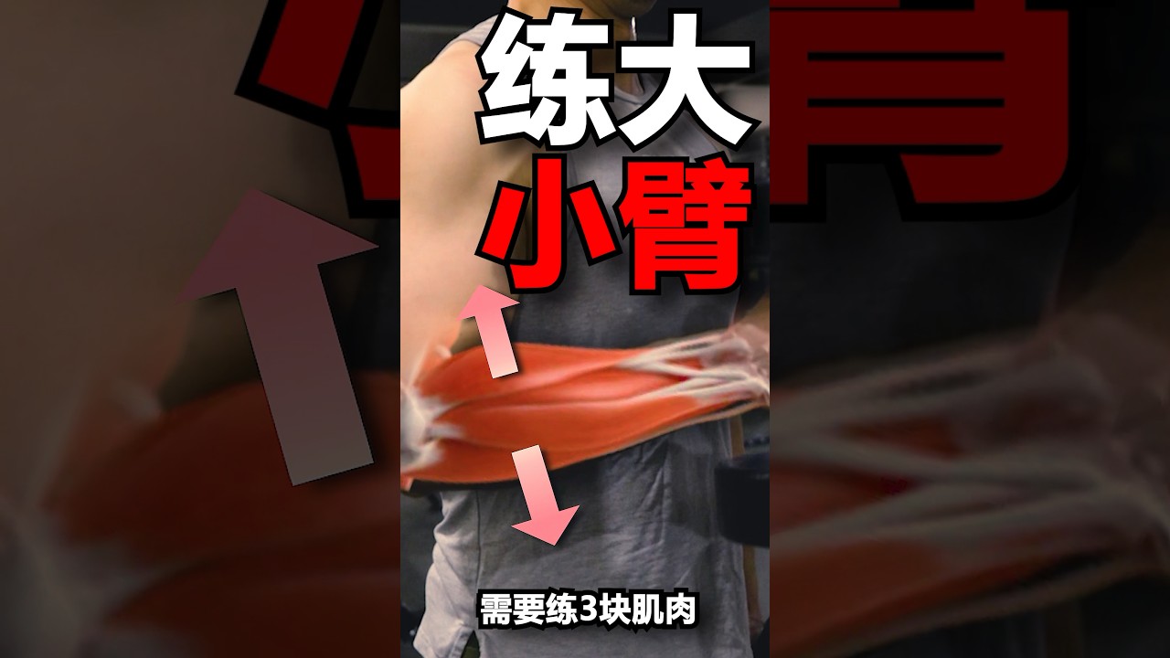 新手，如何训练小臂～