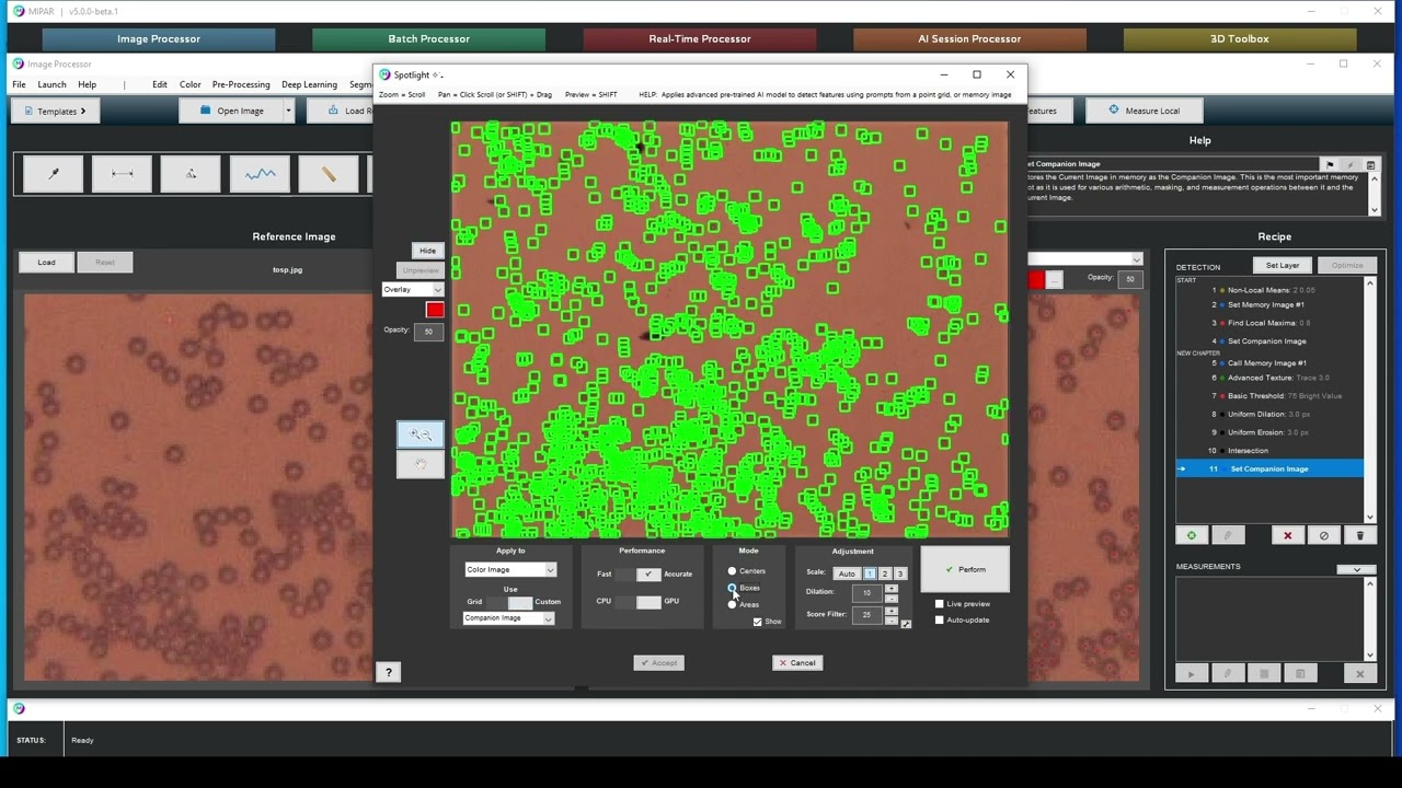 Spotlight Tutorial - Custom Seed Mode