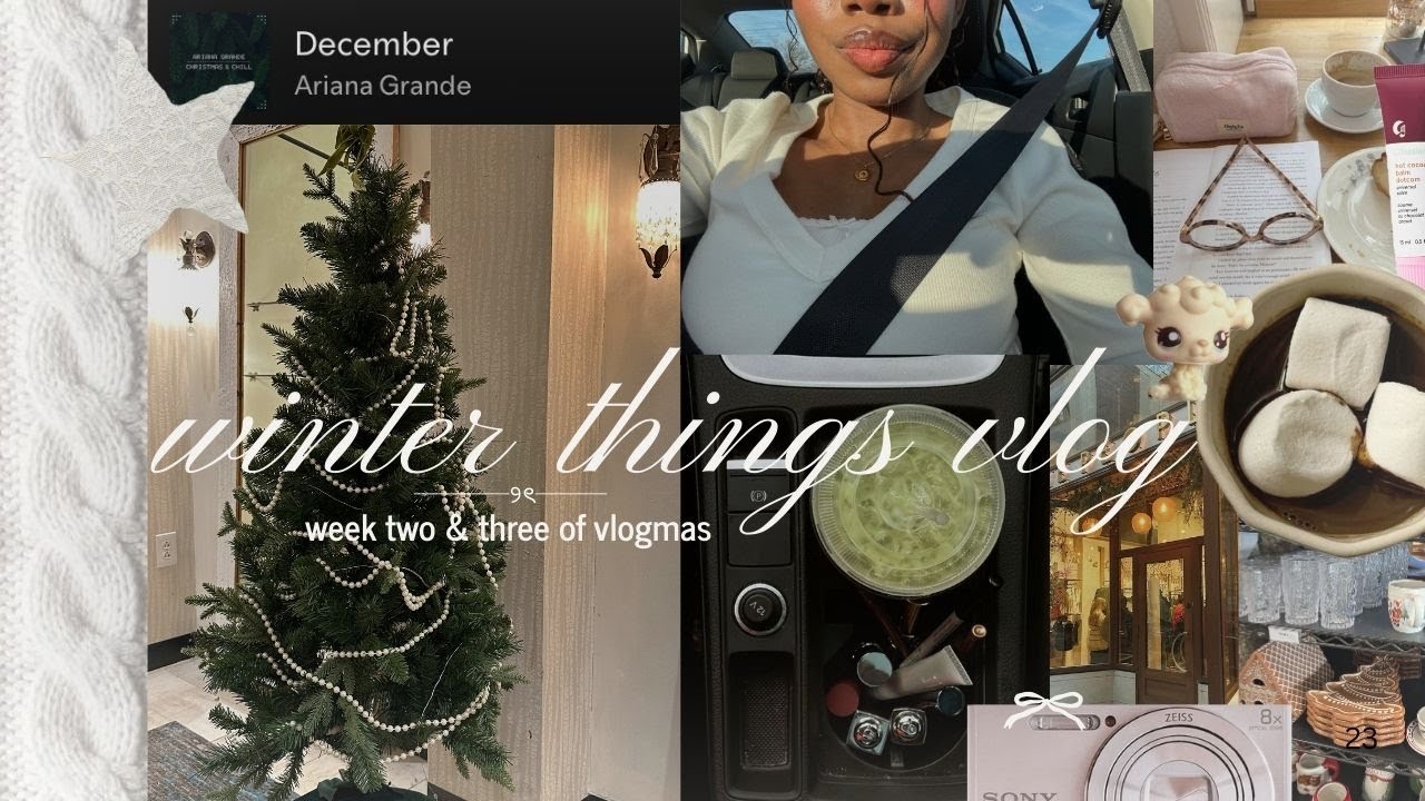 wintery december days   ⋆⁺₊❅.  road trip, holiday books, new avatar movie, buying gifts