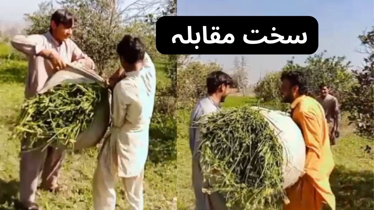 Hard competition dono mein😳|AJ bahot Maza Aya sab k Sath..