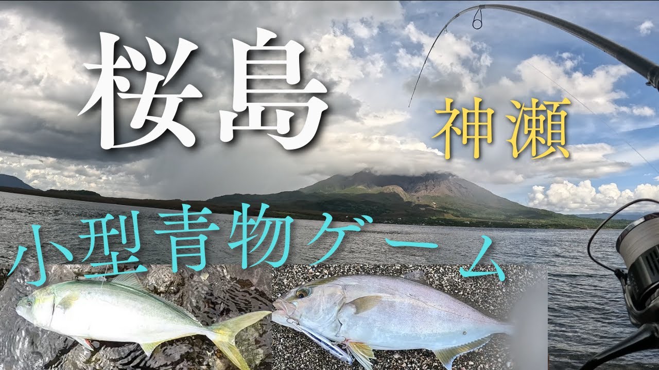【 鹿児島 錦江湾】桜島神瀬で夏の小型青物ゲーム