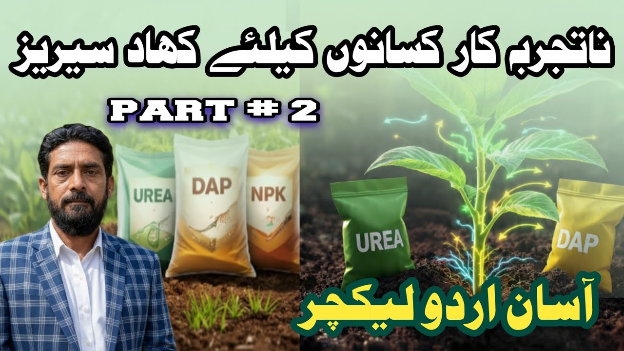 Chemical Fertilizers | Deficiency Symptoms | Nutrients Mobility in Plants. Lecture 2