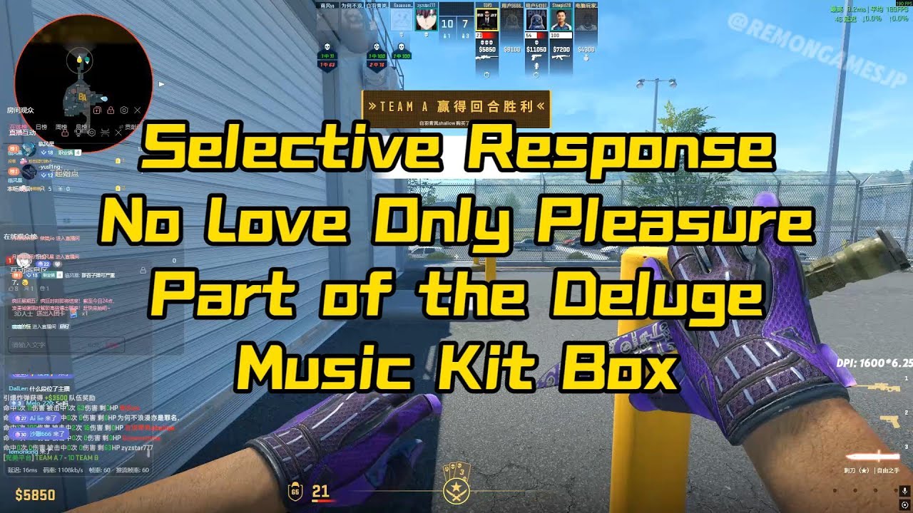 Selective Response - No Love Only Pleasure CS2 Music Kit