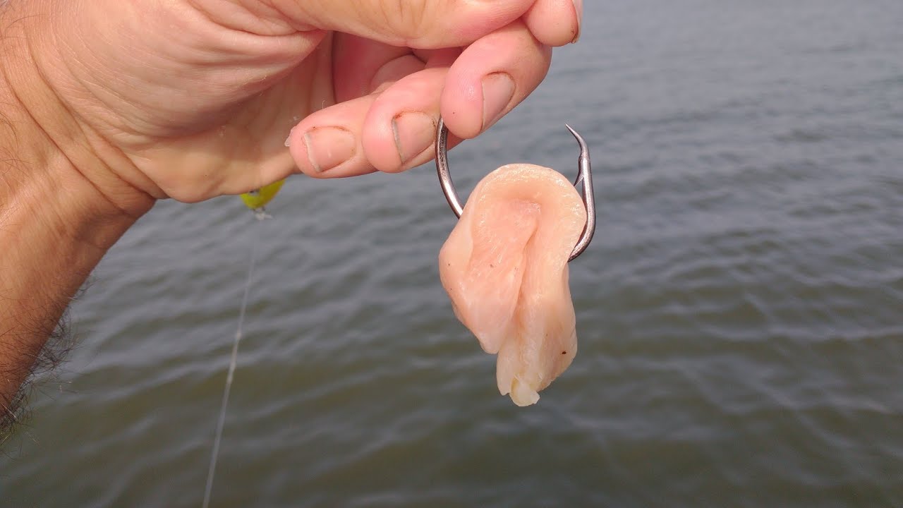 The Ultimate Catfish Bait?
