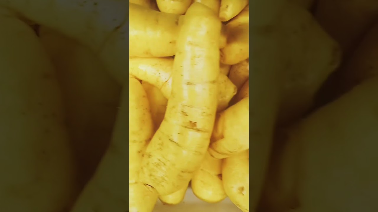 Diab&eacute;tico pode comer batata baroa?