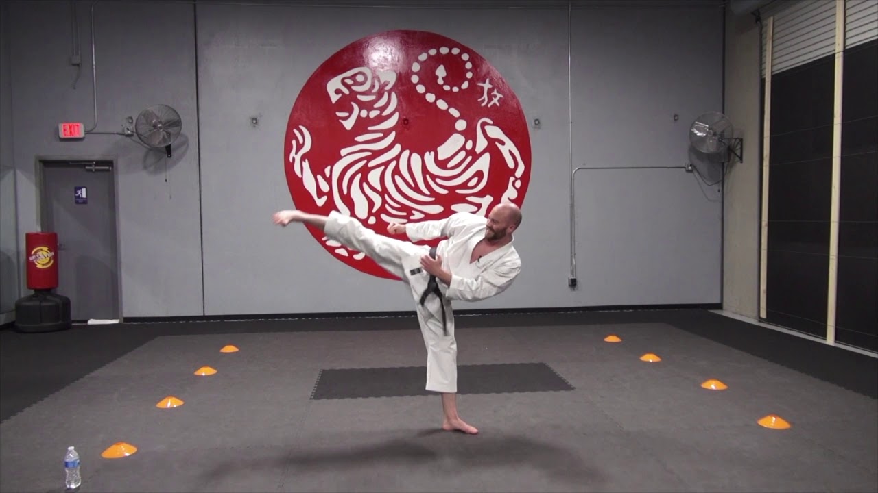 Shotokan Karate Kicks Techniques | Advanced Martial Arts Techniques | Karate Coaching.