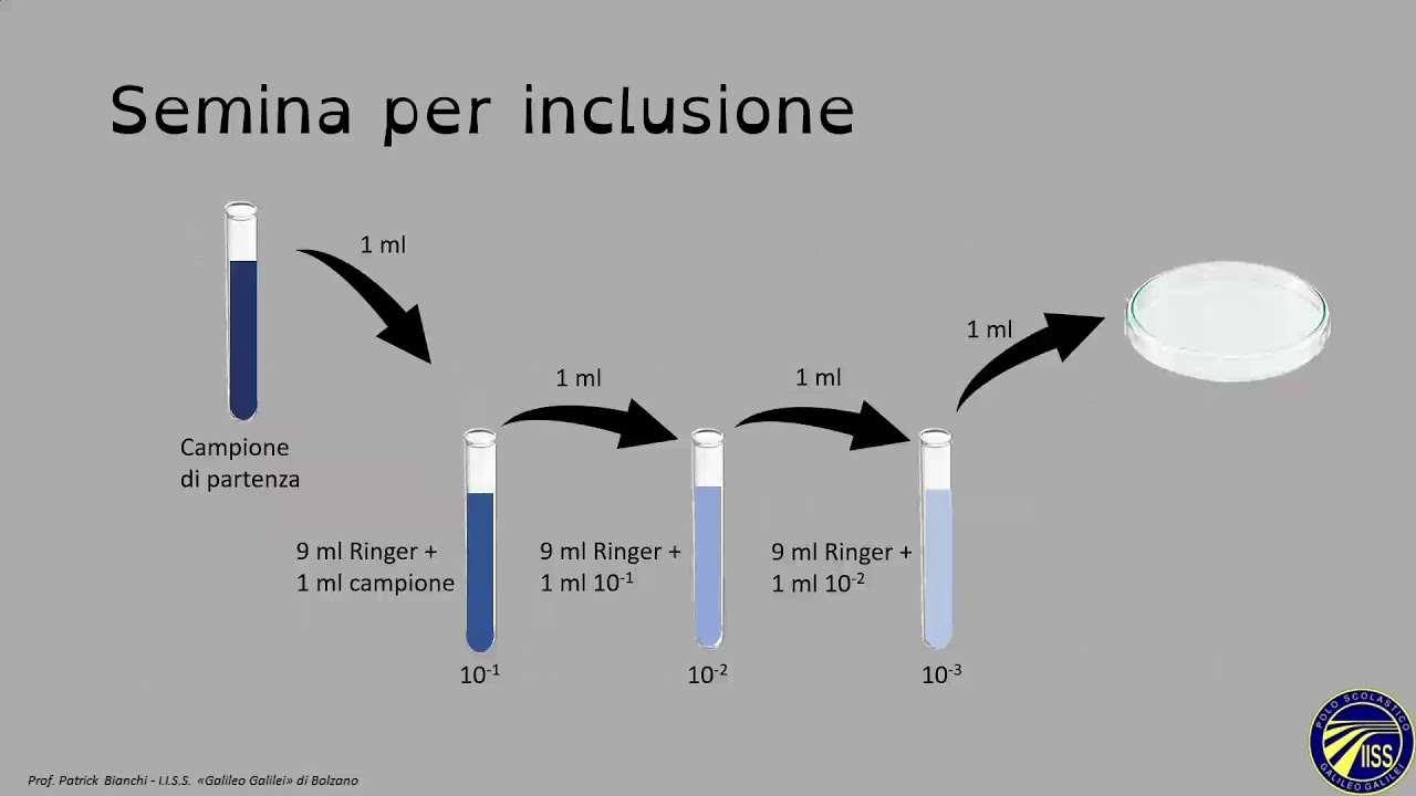 Tecniche di semina - Corso di microbiologia