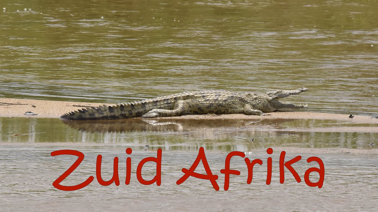 Zuid Afrika (2): Krüger National Park