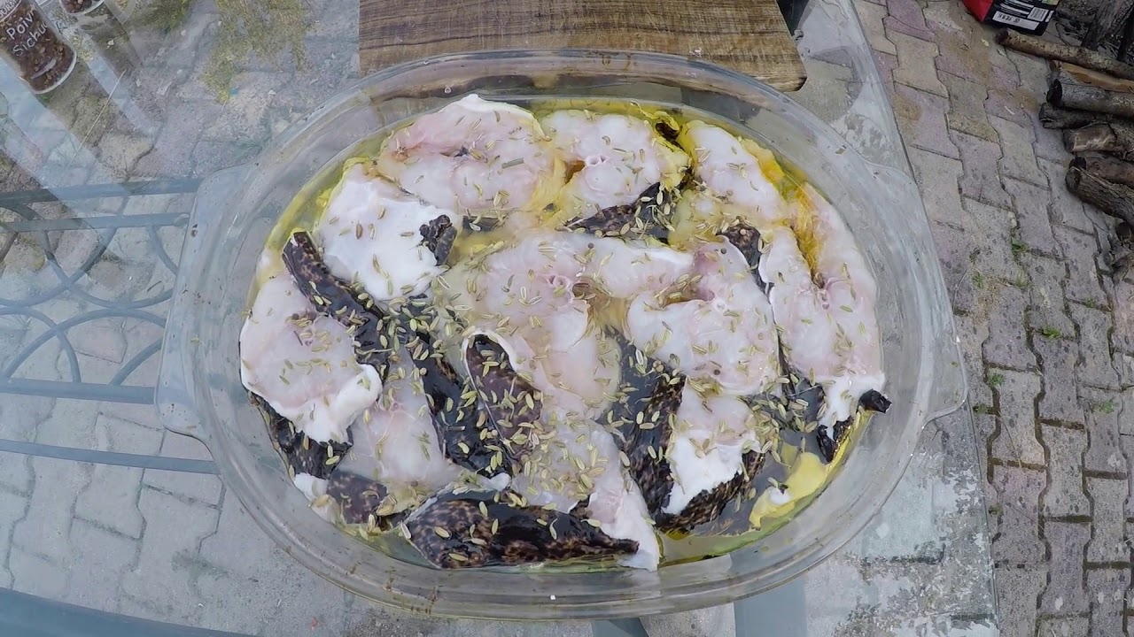 Chasse sous marine murène au barbecue