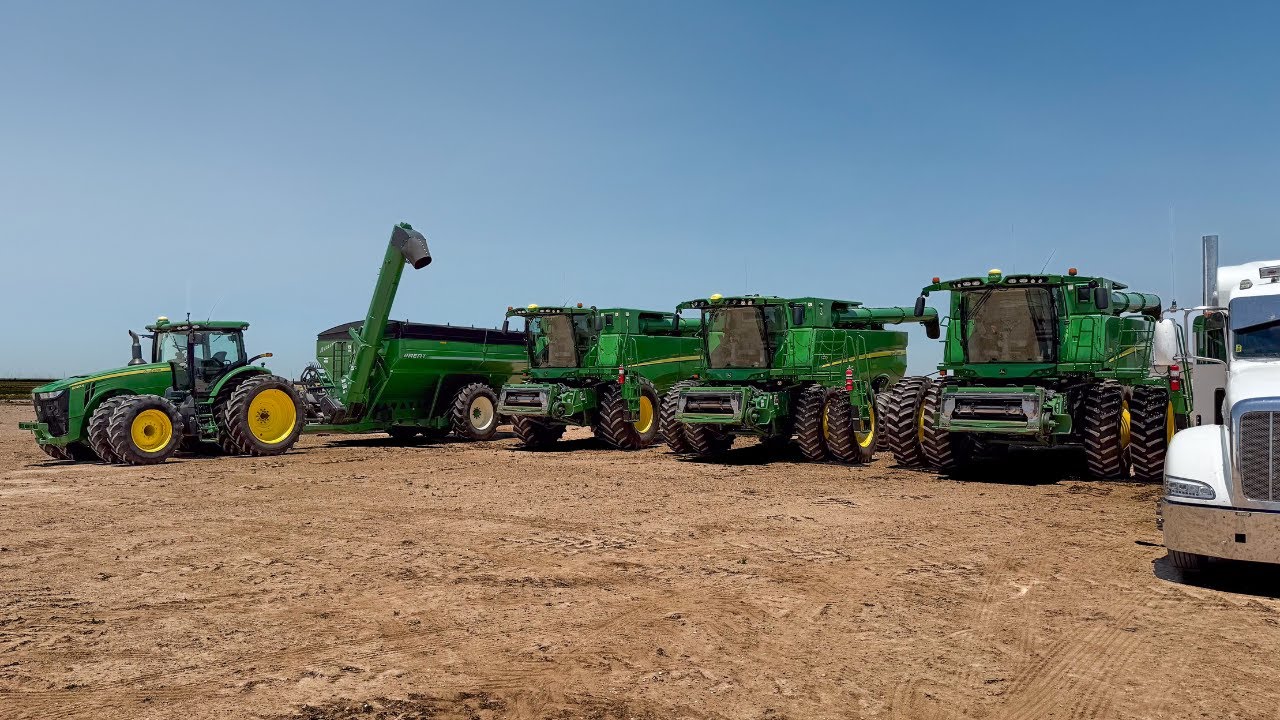 INSANE West Texas Wheat Harvest Yields