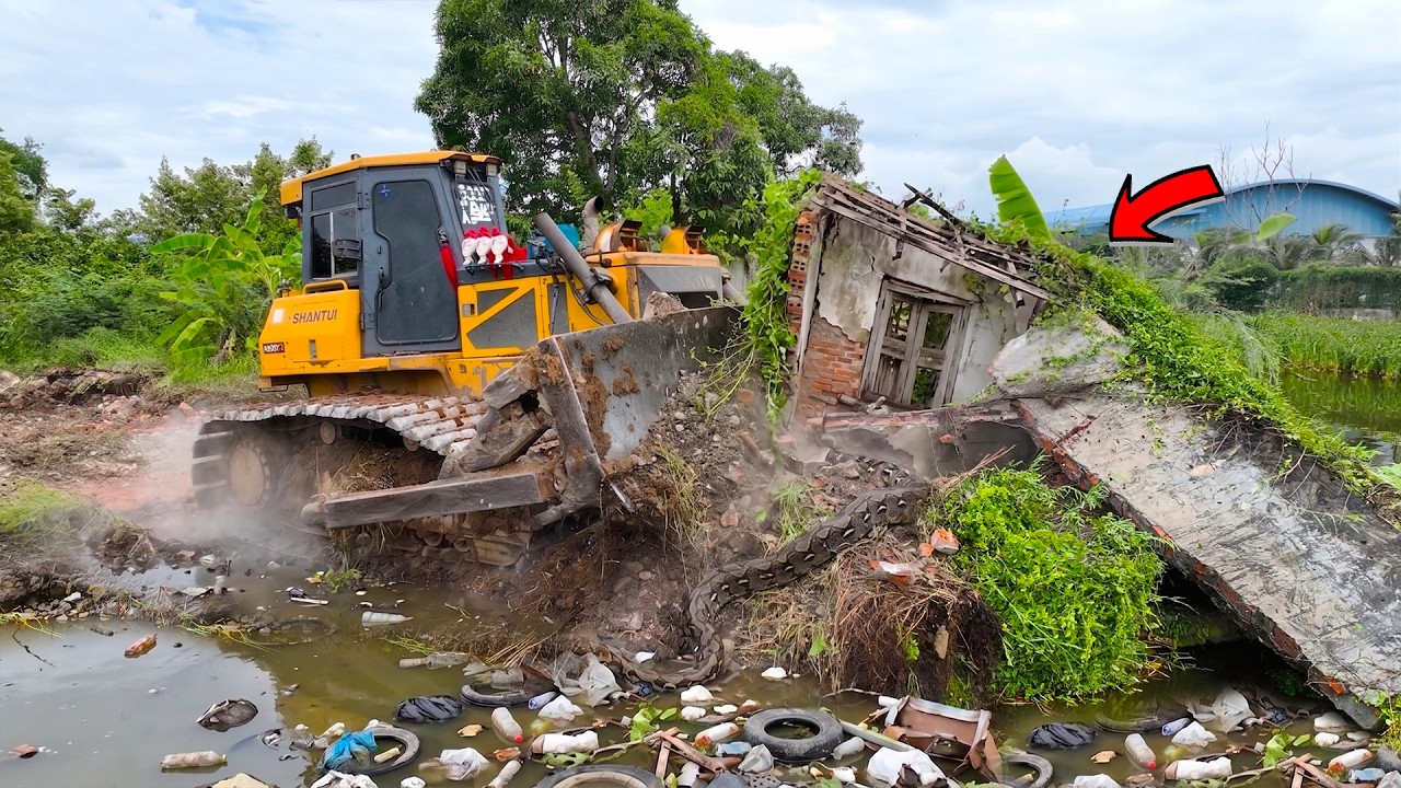 OMG! Incredible PROJECT! Strong Bulldozer SHANTUI DH17C2​ Push Old Flooded House & Clearing Forestry
