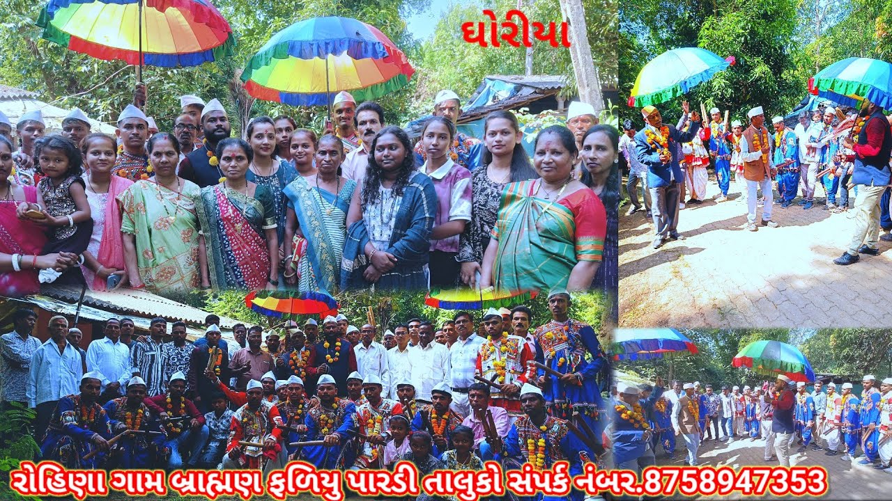 રોહિણા ગામ બ્રાહ્મણ ફળિયુ પારડી તાલુકો.#jitudhodi #ghoriya #rohina #gujaratvalsad #adivasi