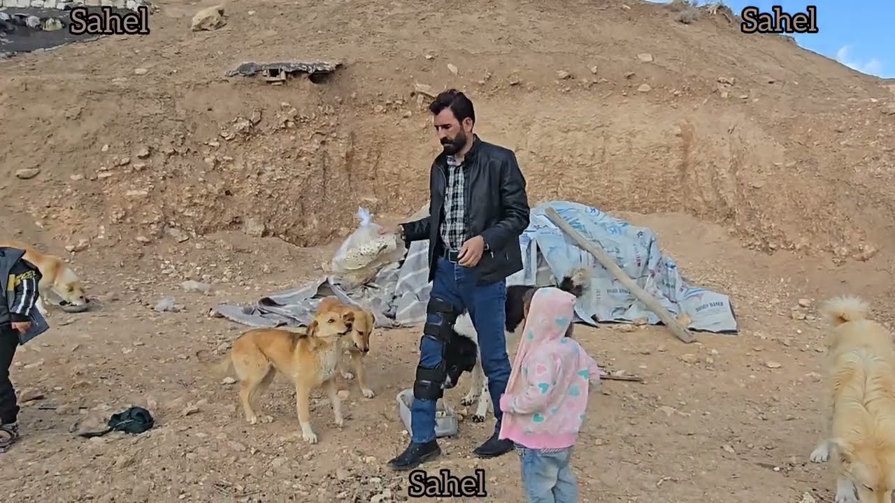 The nomadic life of Engineer Babazadeh, feeding the sheep and animals in the cave, bringing a doctor