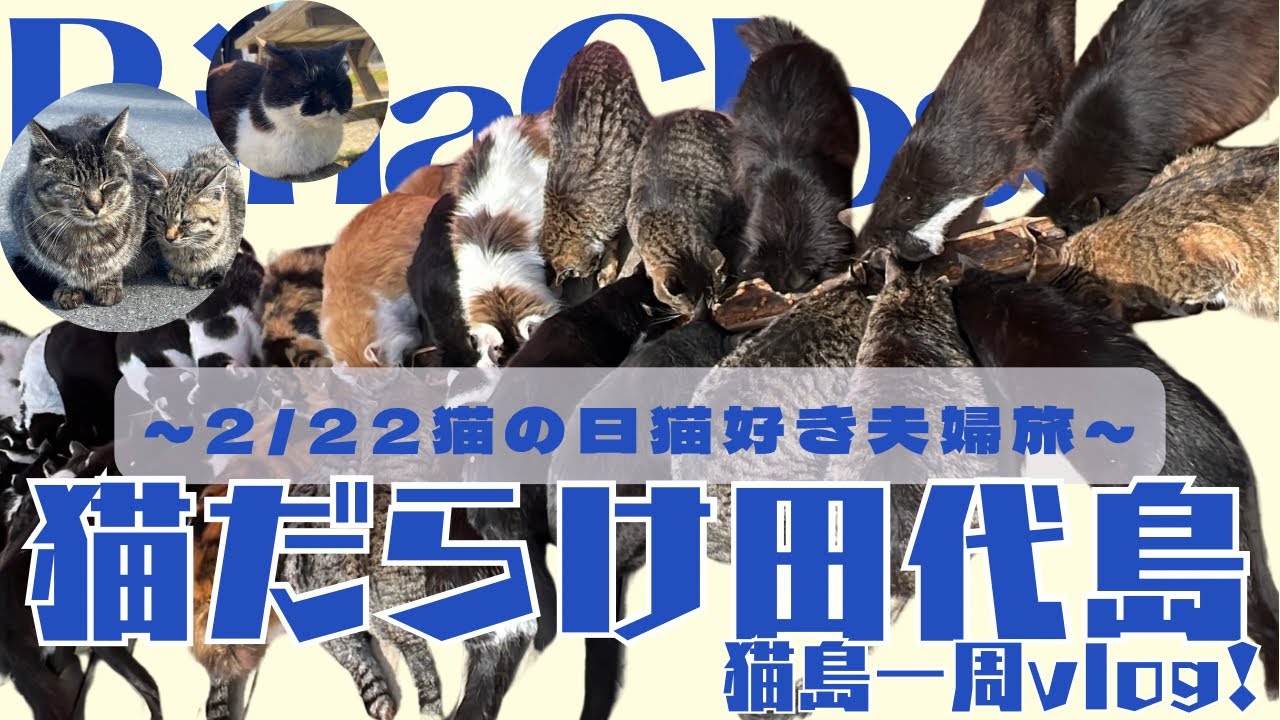 【Vlog】猫好き夫婦が猫の日に行く猫島《田代島》1周Vlog