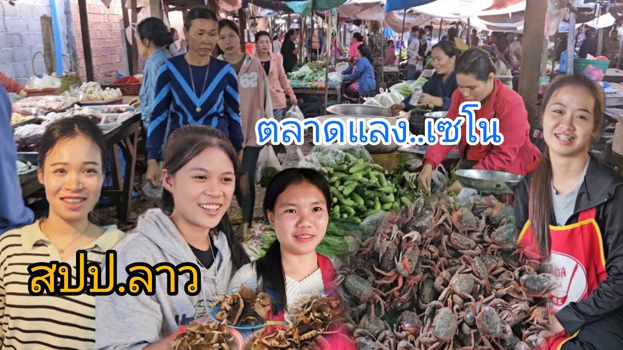 อากาศเริ่มหนาว #สาวลาว เซโน นั่งตลาดขายเครื่อง อาหารพื้นบ้านตามฤดูกาล ปูแดง เห็ดบด ผักงามๆ #สปปลาว