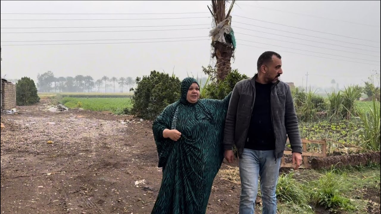 ام جني المطر مبهدل الدنيا استرها علينا يارب جريت علي بيتي الحق طيوري واشوف مصلحتي فين الايك ياعسلات👍