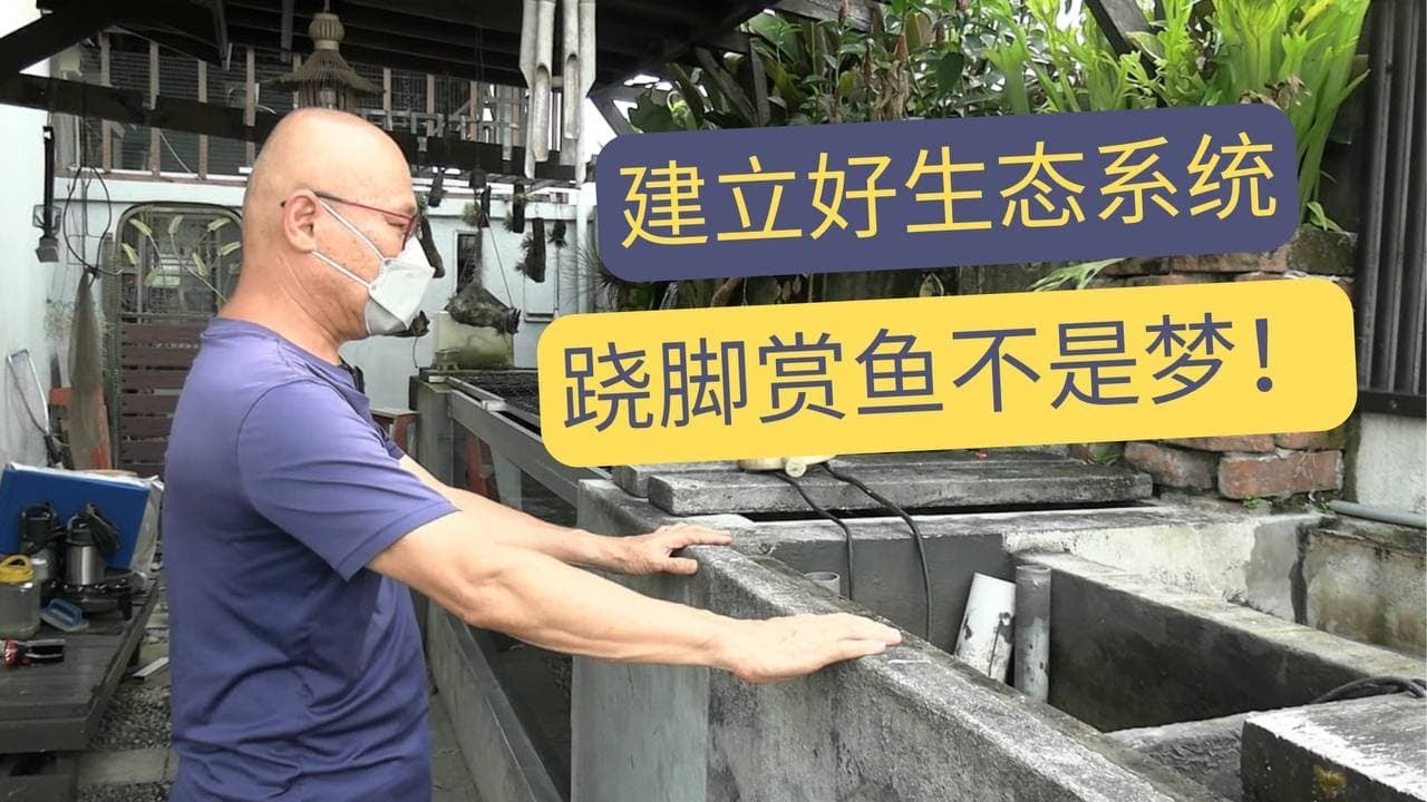 洗鱼池又累又麻烦？Ah Kuei教你建立生态系统轻松养鱼！