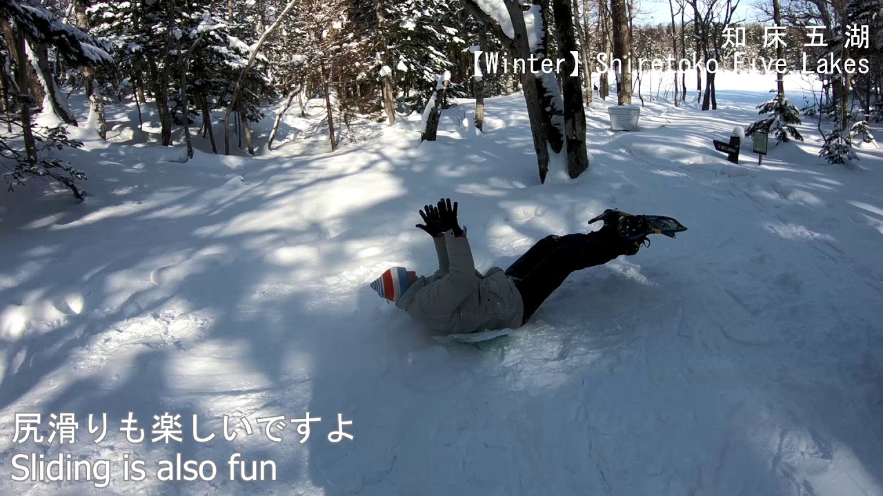 冬の知床五湖　（Shiretoko 5 Lakes 2019）