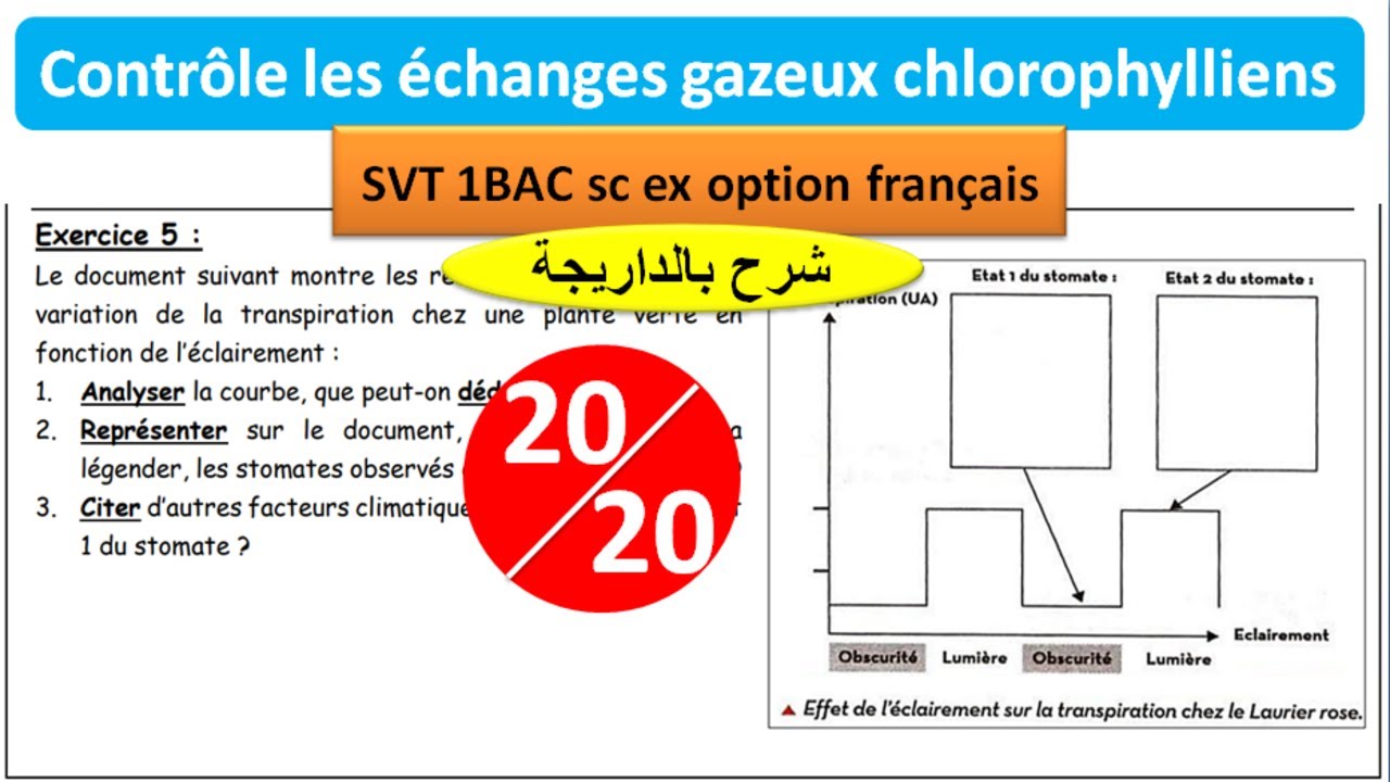 Contrôle les échanges gazeux chlorophylliens svt 1 BAC (شرح بالداريجة)