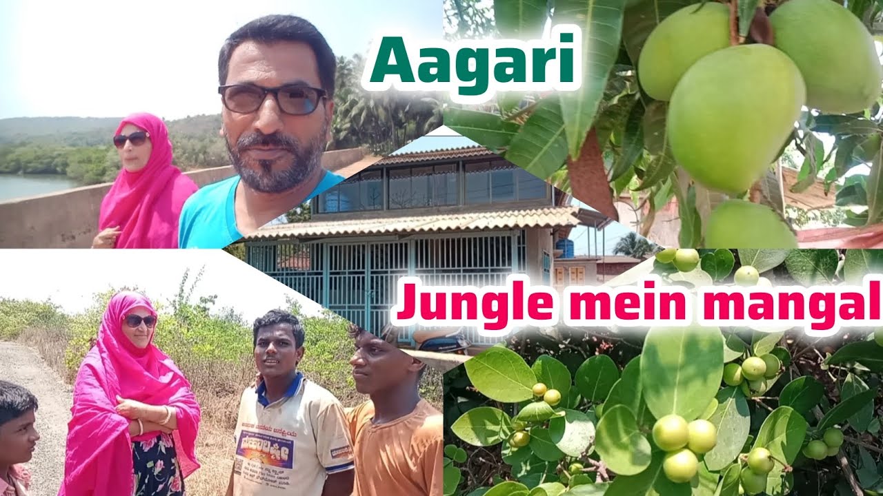 Aaj hum jungle ka mewa lane nikle aagari Panchanadi 🥭