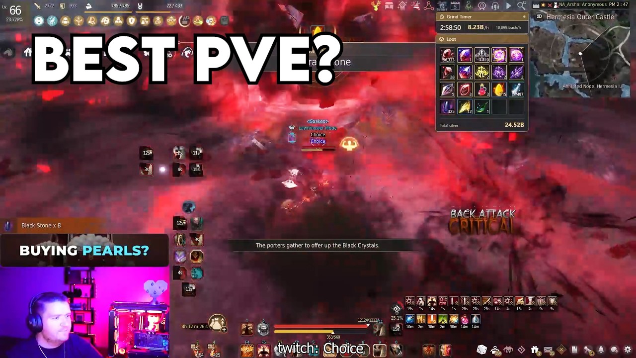 Best PVE Class? | Black Desert Highlights