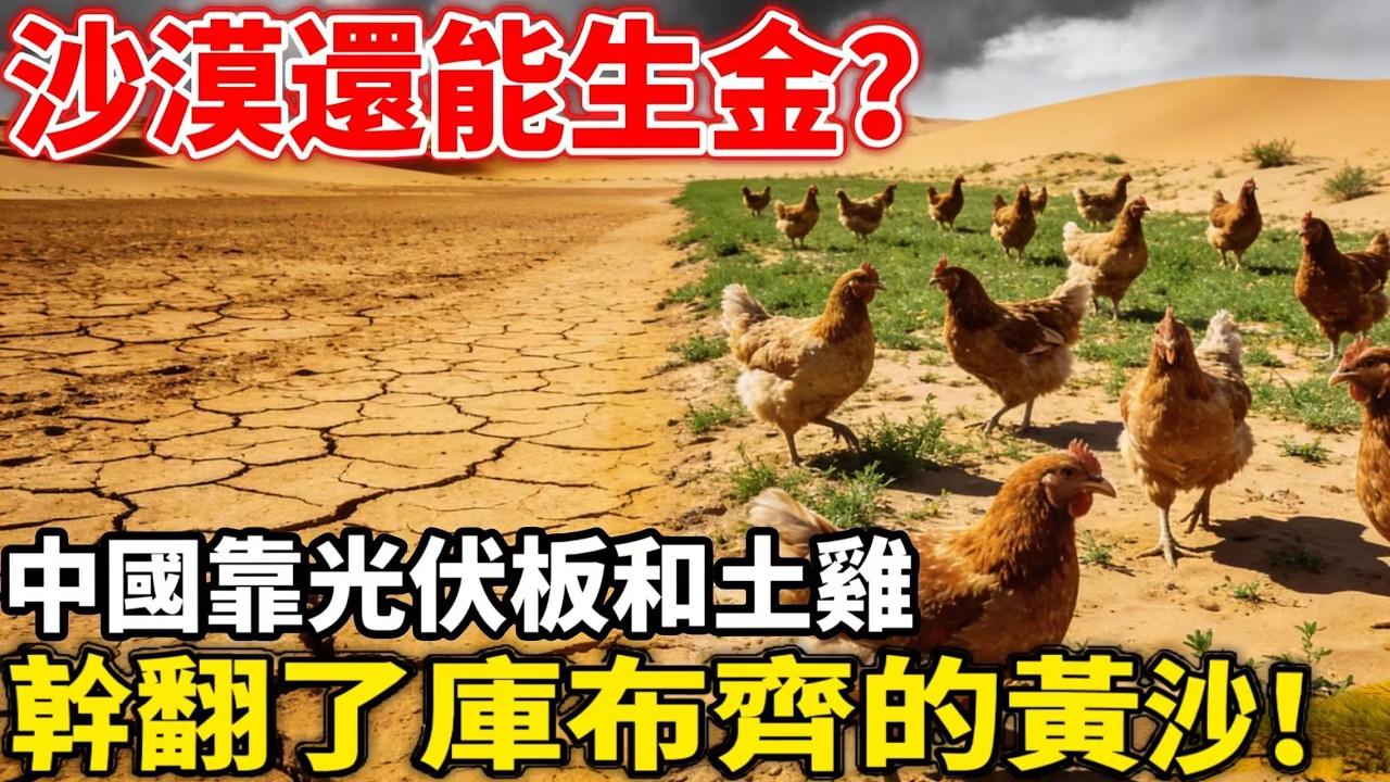 50 只雞激活一片沙漠！中國用最樸素的法子，幹成了世界級治沙奇跡！