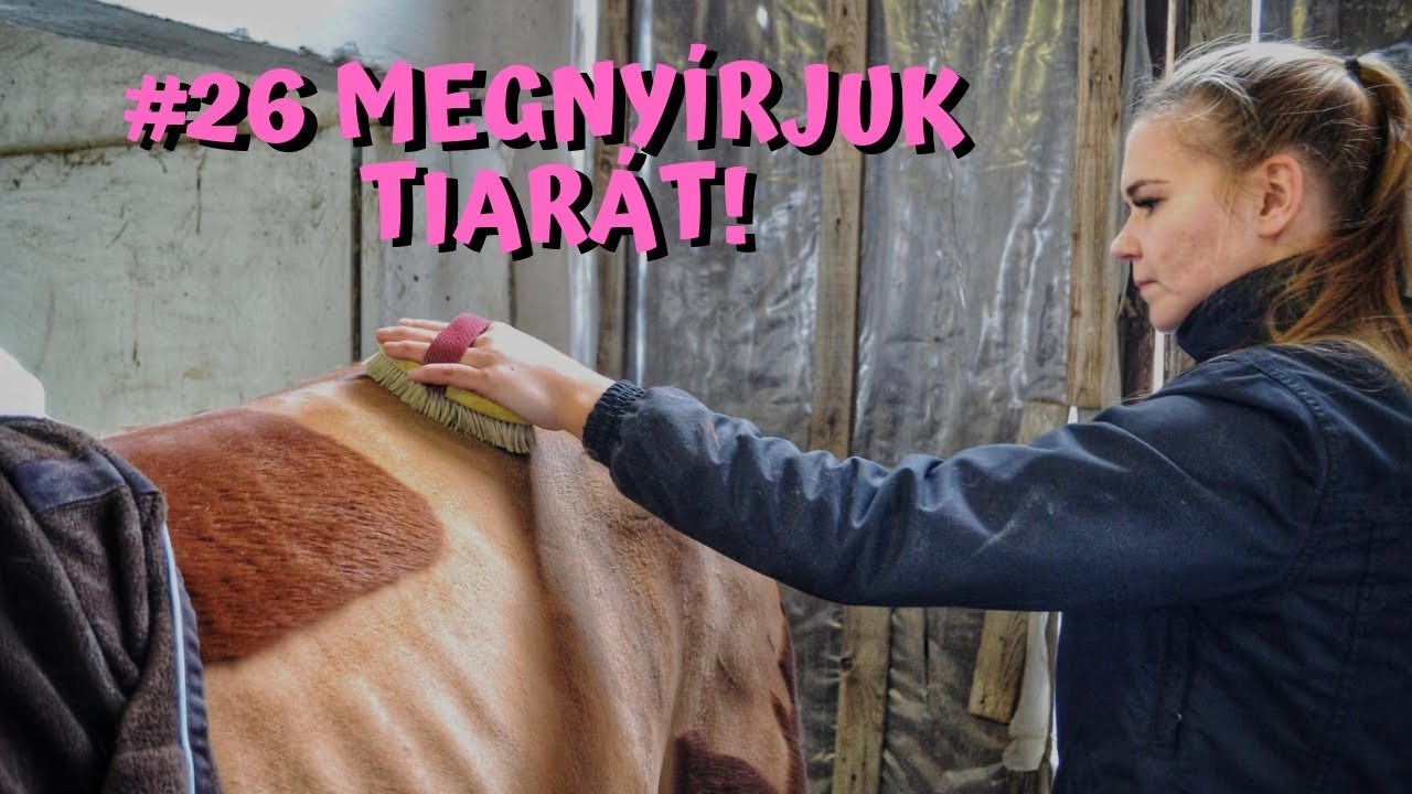 Megnyírjuk Tiarát!
