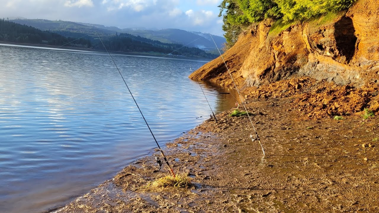 TROUT FISHING at HAGG LAKE! *CATCH N' COOK*